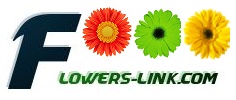 Flowers-link.com