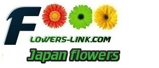 Japan flower shop