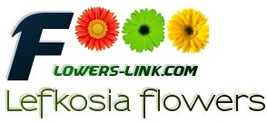Flowers-link Nicosia florist