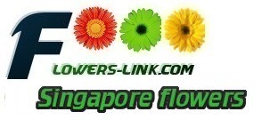 Singapore flower shop