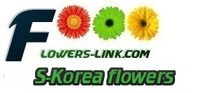 South Korea flower shop